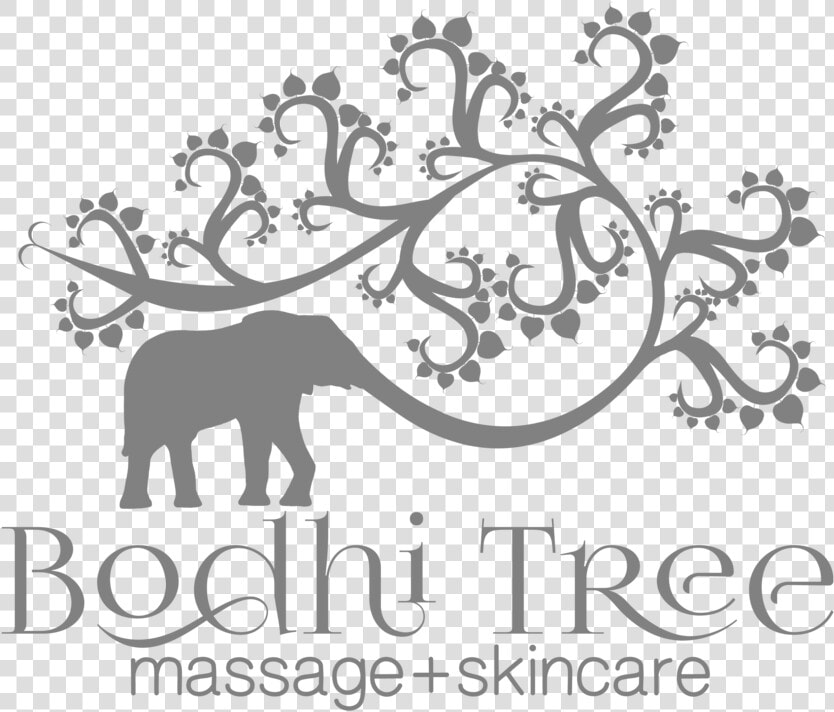 Logo   Bodhi Tree Cle Logo  HD Png DownloadTransparent PNG