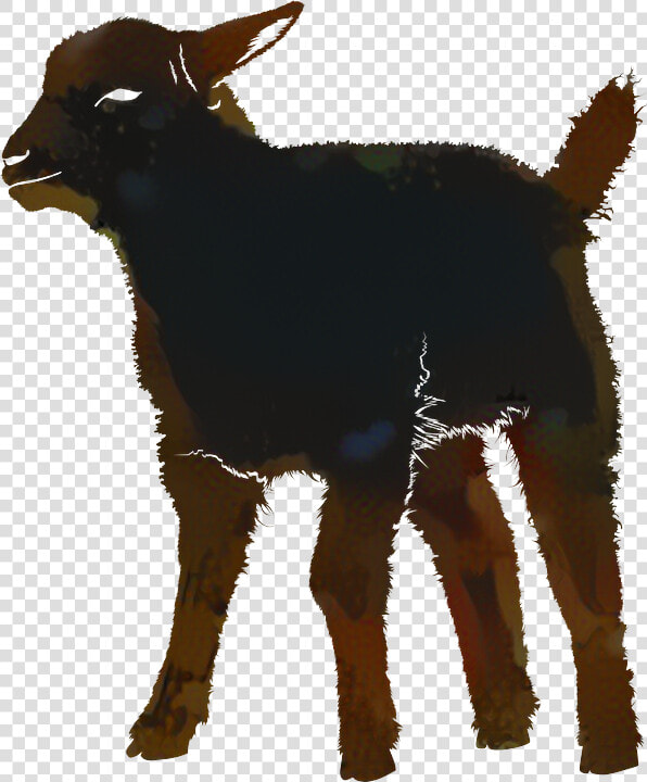 Silhouette Vector Graphics Image Sheep Photograph   Lamb Silhouette Png  Transparent PngTransparent PNG