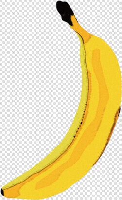 Saba Banana  HD Png DownloadTransparent PNG