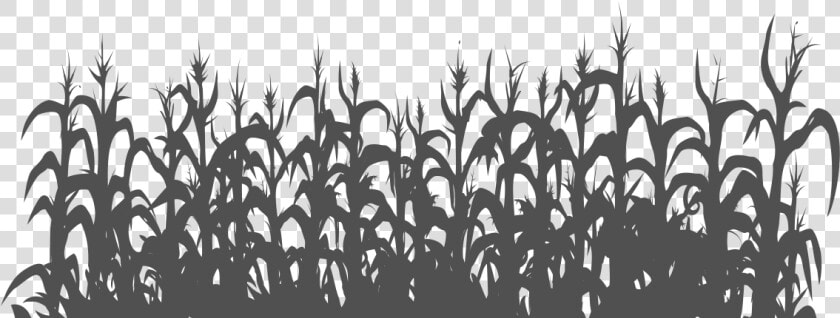 Michael Fassbender Png Download   Silhouette Corn Field Clipart  Transparent PngTransparent PNG