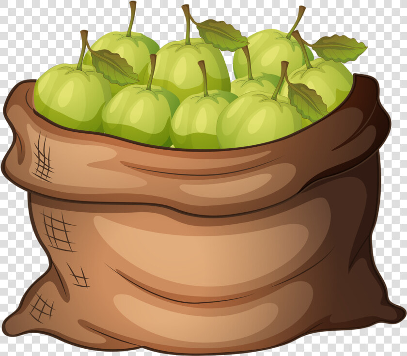 Apples Clipart Garden   Basket Of Guava Clipart  HD Png DownloadTransparent PNG