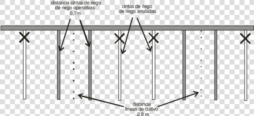 Distancia Riego Por Goteo  HD Png DownloadTransparent PNG