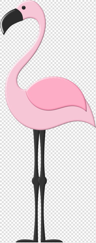 B  ✿  Flamencos Decoracion  Bolsas Playeras  Patrón   Clip Art Printable Flamingo  HD Png DownloadTransparent PNG