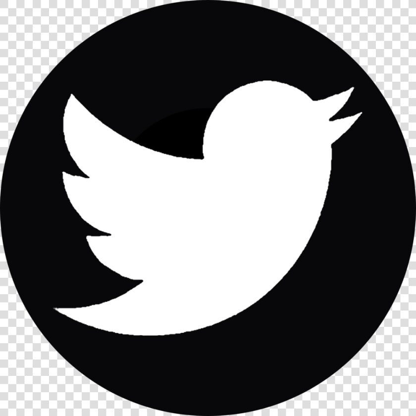 Twitter   Twitter White Logo Png  Transparent PngTransparent PNG