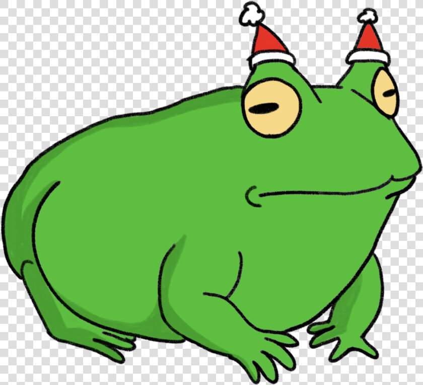 Frog Santa Hat Concept   True Frog  HD Png DownloadTransparent PNG