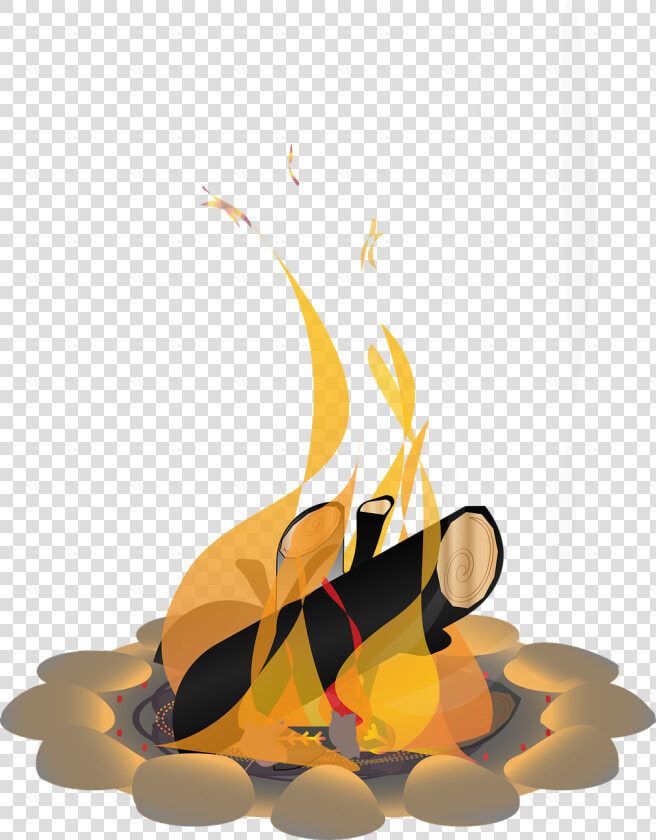 Bonfire Png  Transparent PngTransparent PNG