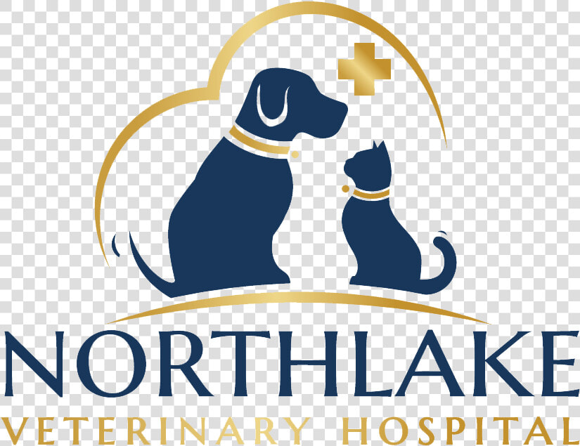 Transparent Vet Png   Names For Veterinary Hospital  Png DownloadTransparent PNG