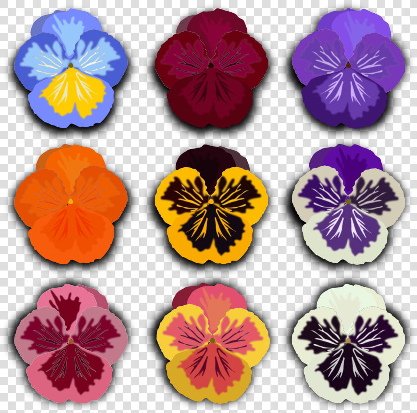 Pansies Clip Art Black And White  HD Png DownloadTransparent PNG