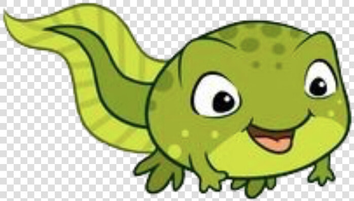 Cartoon Tadpole  HD Png DownloadTransparent PNG