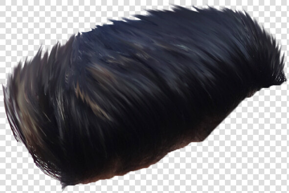 Taukeer Editz Hair Png  Transparent PngTransparent PNG