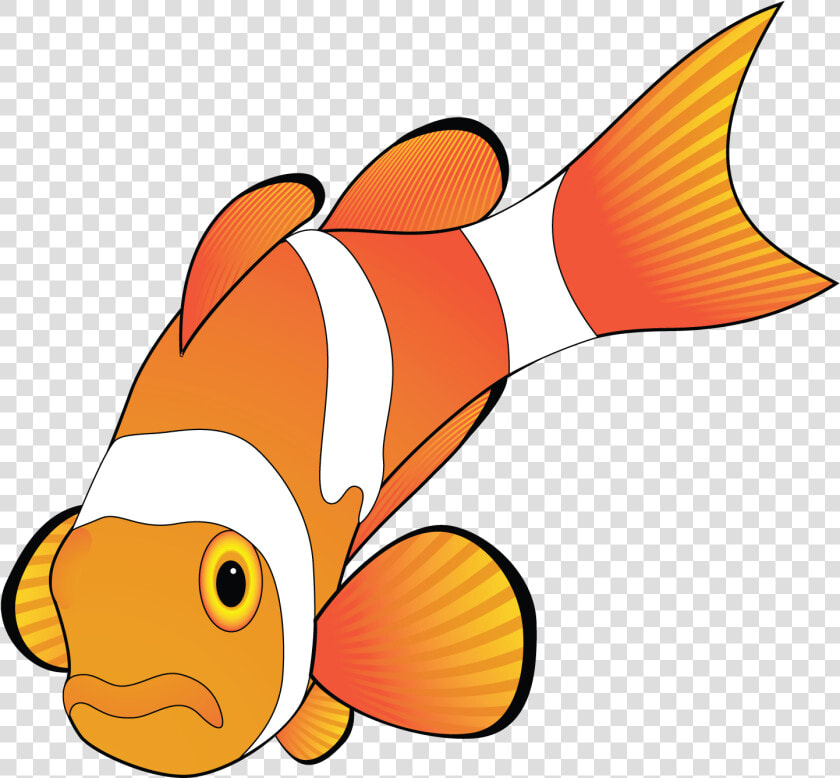 Crabs Clipart Clown Fish   Microsoft Office Clipart Animals  HD Png DownloadTransparent PNG