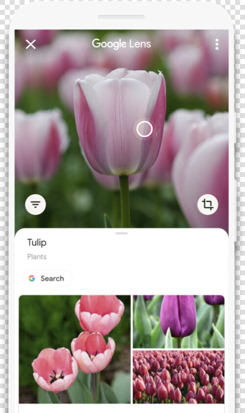 Google Lens For Android Scans Qr Code   Google Pay Scan Flower  HD Png DownloadTransparent PNG