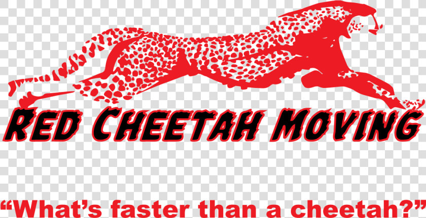 Cheetah Moving Cliparts   Cheetah Clip Art  HD Png DownloadTransparent PNG