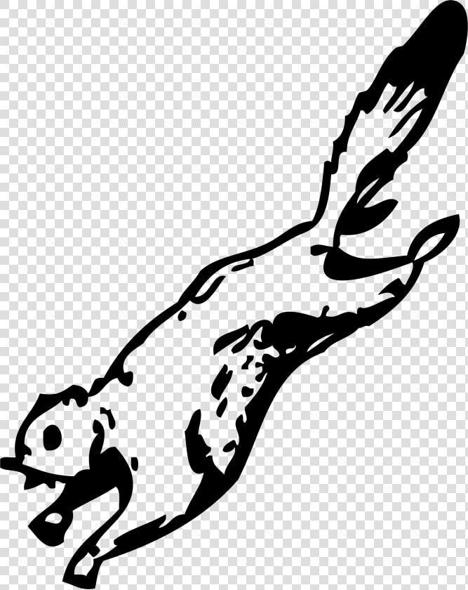 Clipart Flying Squirrel Images Pictures   Flying Squirrel Coloring Page  HD Png DownloadTransparent PNG