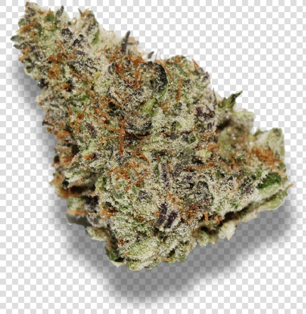 Mendo Breath   Wifi Og Weed Strain  HD Png DownloadTransparent PNG