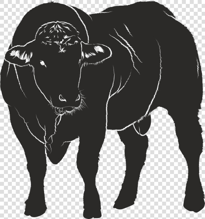 Bull  Silhouette  Black  Isolated Form  Animal  Shadow   Warnschild Bulle  HD Png DownloadTransparent PNG