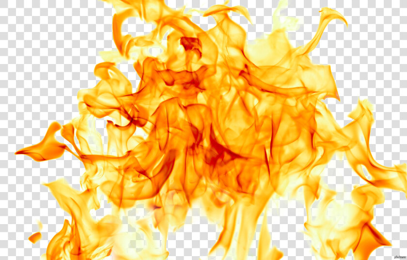 Огонь На Прозрачном Фоне   Burning Fire White Background  HD Png DownloadTransparent PNG