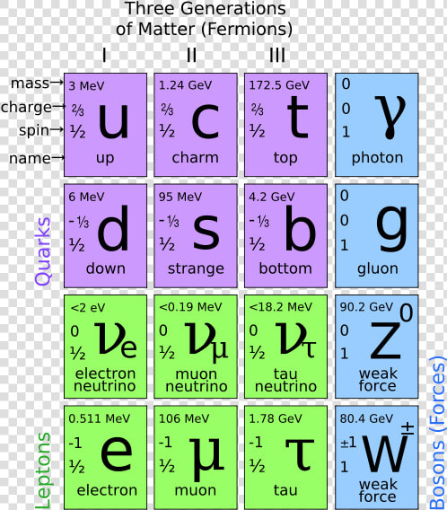 Elementary Particles  HD Png DownloadTransparent PNG