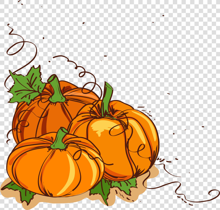 Thanksgiving Dinner Pumpkin Clip Art   Pumpkin With Vines Clipart  HD Png DownloadTransparent PNG