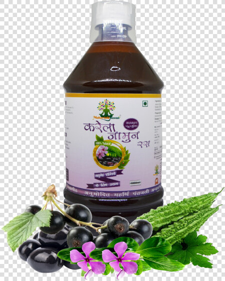 Neem Jamun Karela Giloy  HD Png DownloadTransparent PNG