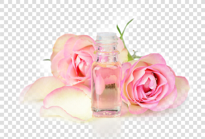 Essential Oils Company   Rose Oil Png  Transparent PngTransparent PNG