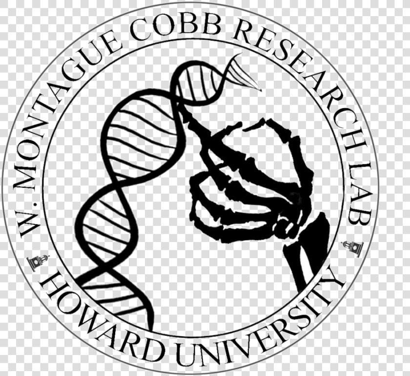 Cobb Seal Clear Black   Illustration  HD Png DownloadTransparent PNG