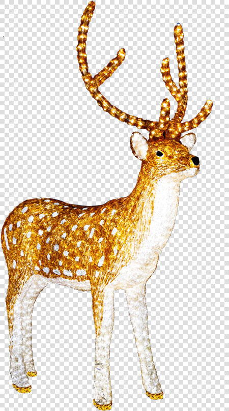 Illuminated Reindeer Clip Art   Light Up Reindeer Png  Transparent PngTransparent PNG