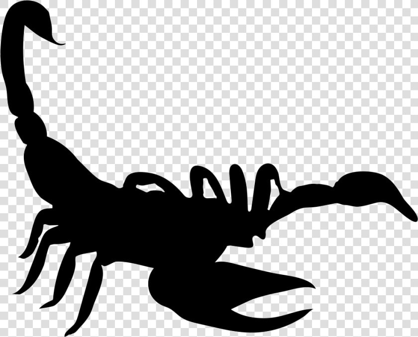 Scorpion Shape   Scorpion Icon  HD Png DownloadTransparent PNG