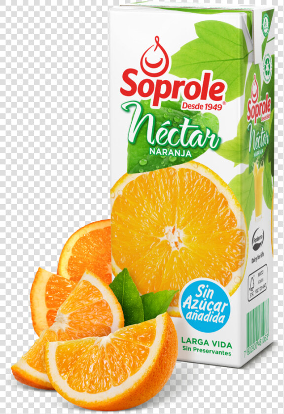 Jugo Soprole 200 Ml  HD Png DownloadTransparent PNG