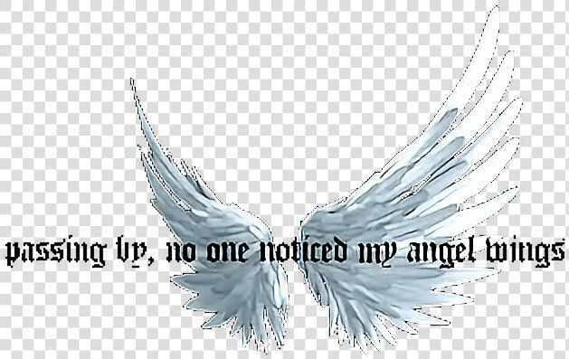  angel  angelcore  angeldust  lilpeep  lilpeeplyrics   Lil Peep Gif Transparent  HD Png DownloadTransparent PNG