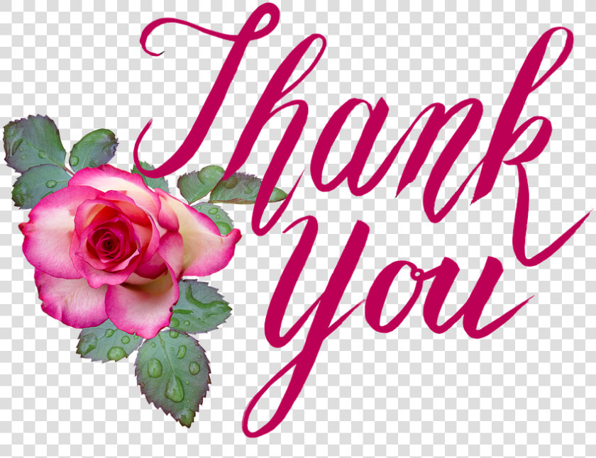 Thank You  Rose  Love  Romantic  Florist  Greeting  HD Png DownloadTransparent PNG