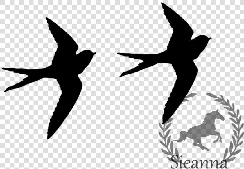 Black Birds Flying Set   Black Bird Flying Clipart  HD Png DownloadTransparent PNG