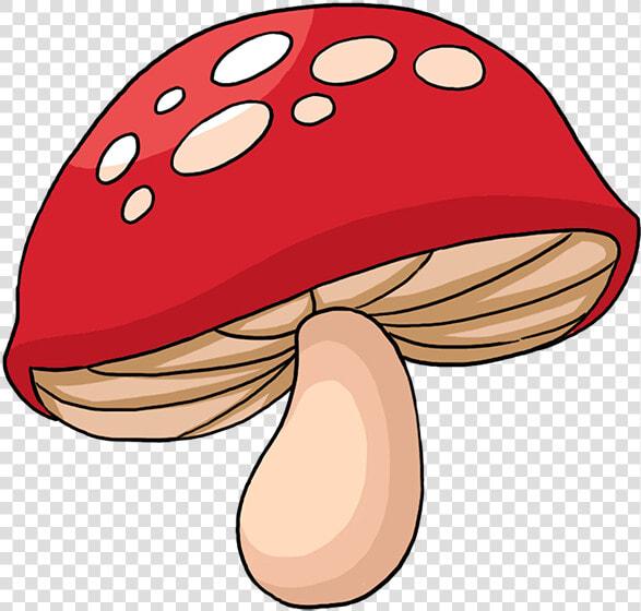 Charmlets red Shroom   Shiitake  HD Png DownloadTransparent PNG