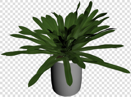 Houseplant  HD Png DownloadTransparent PNG