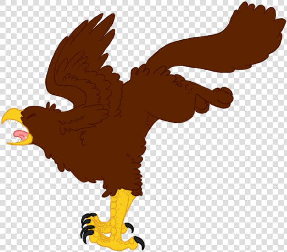 Bald Eagle Clipart   Aguila Llevando Una Gallina Animado  HD Png DownloadTransparent PNG