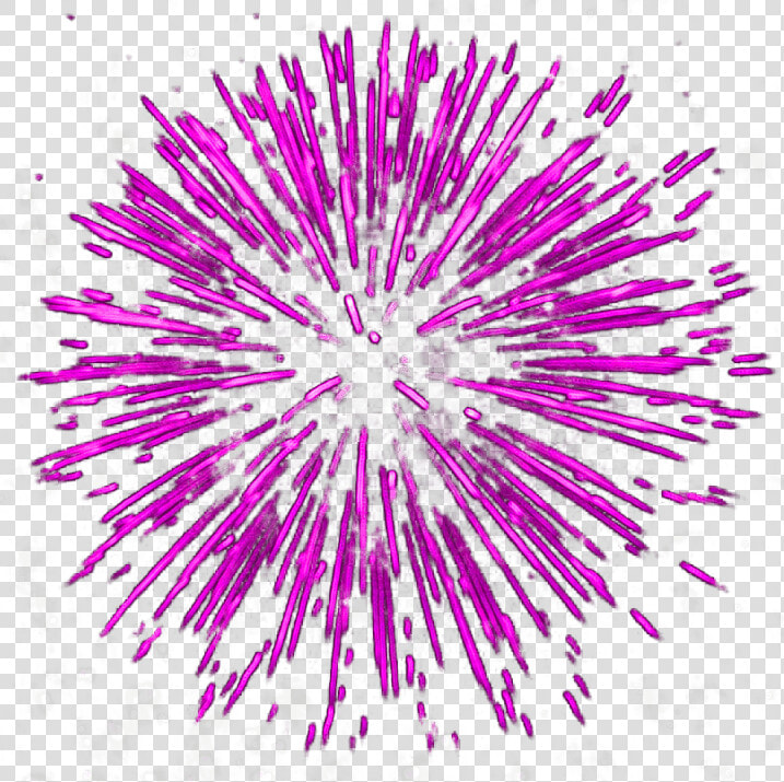 Firework Explosion   Hot Pink Firework Transparent  HD Png DownloadTransparent PNG