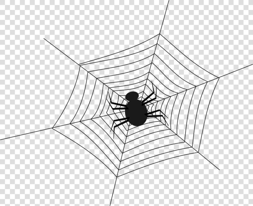 Cobweb  Spider  Spiderweb  Spider S Web  Web  Net   Spider In The Web  HD Png DownloadTransparent PNG