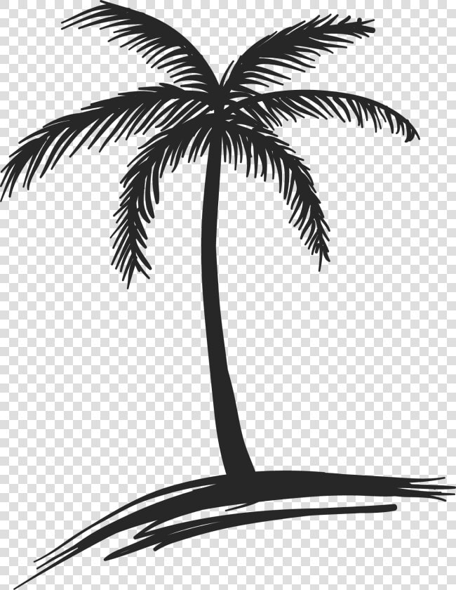 And Black Drawing Palm Tree White   Small Palm Tree Drawing  HD Png DownloadTransparent PNG