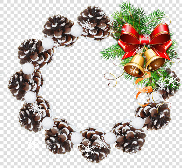 Holiday Clipart Pinecone   30 Trillion Dollars Wealth Transfer  HD Png DownloadTransparent PNG