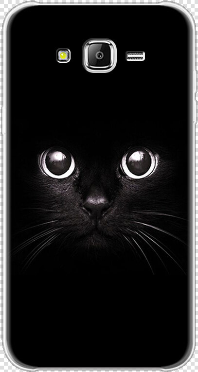 Iphone 5c Cat Cases  HD Png DownloadTransparent PNG