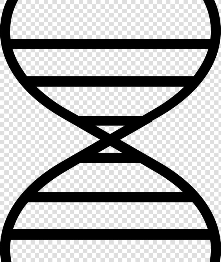 Dna   Png Download   Bio Polymers Icon  Transparent PngTransparent PNG