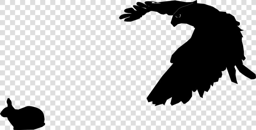 Falcon And Rabbit Clip Arts   Falcon Silhouette Png  Transparent PngTransparent PNG