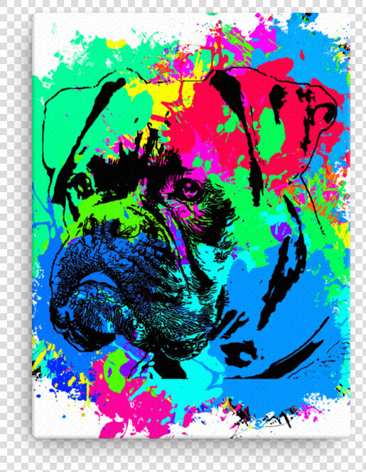 Boxer Colorful Splash Paint Canvas   Png Download   Illustration  Transparent PngTransparent PNG