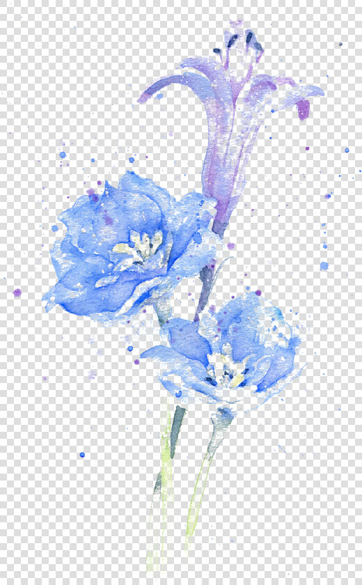 Delphinium Drawing Watercolor   Water Paint Plant Png  Transparent PngTransparent PNG