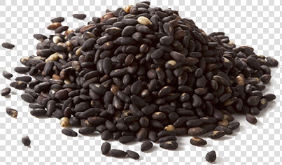 Black Sesame Seeds Png  Transparent PngTransparent PNG