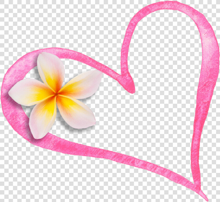 Heart Flower Cropped   Frangipani  HD Png DownloadTransparent PNG