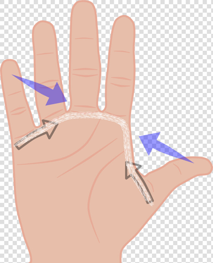 Hand Span Clipart  HD Png DownloadTransparent PNG