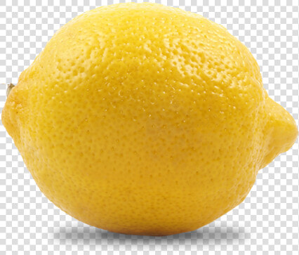 Meyer Lemon  HD Png DownloadTransparent PNG