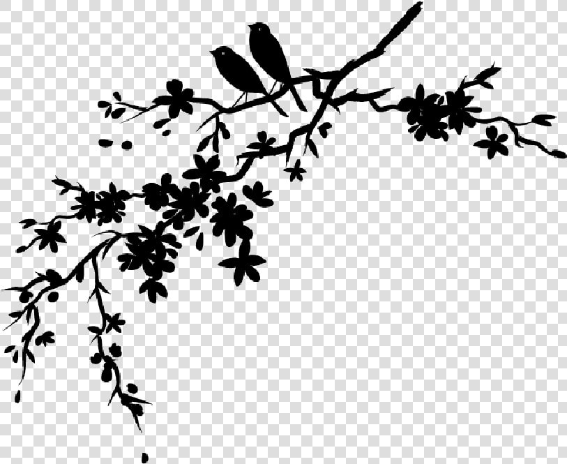 Clip Art Cherry Blossom Vector Graphics Drawing   Cherry Blossom Silhouette Vector  HD Png DownloadTransparent PNG