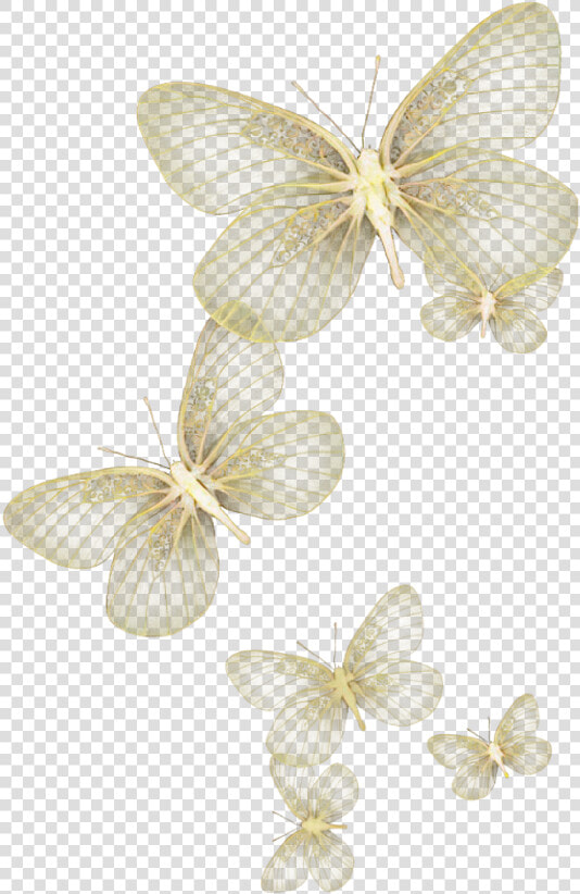 Butterfly Wing Moth Fly Sky Yellow Glitter Wind Flying   White Butterfly Transparent Background  HD Png DownloadTransparent PNG